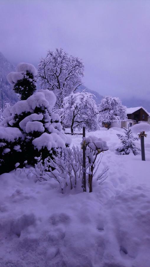 Appartement Eberler Mayrhofen
